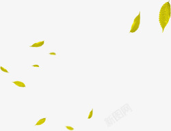 春季漂浮黄色树叶素材