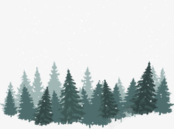 冬天松树冬季绿色松树树林高清图片