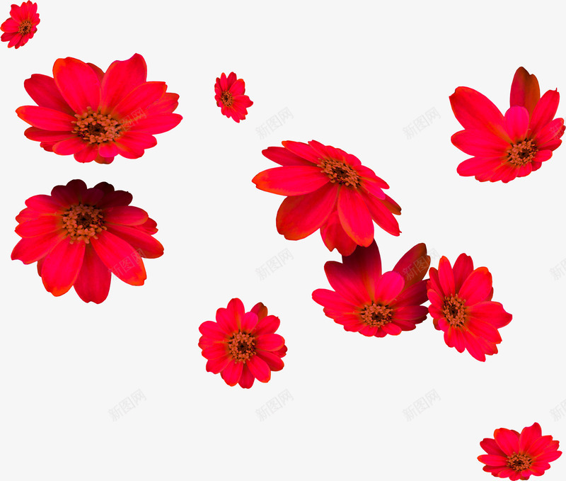 红色花朵png免抠素材_88icon https://88icon.com 漂浮花朵 花瓣 花蕾 鲜花