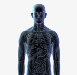 人体3d立体透视图素材