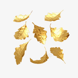 清晰的纹理金色树叶高清图片