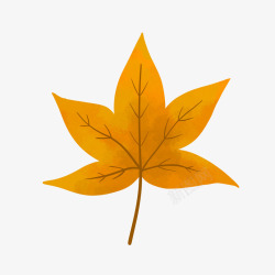 秋天的黄色叶子53素材