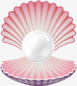粉色贝壳装着珍珠立体素材
