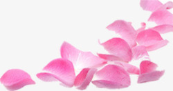 鲜花飘落装饰粉红背景素材