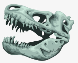 恐龙头骨素材