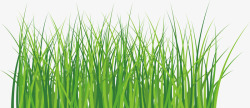 黄绿的小麦苗小麦苗生长图标高清图片