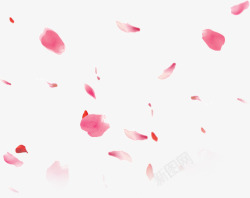 粉色漂浮花瓣装饰素材