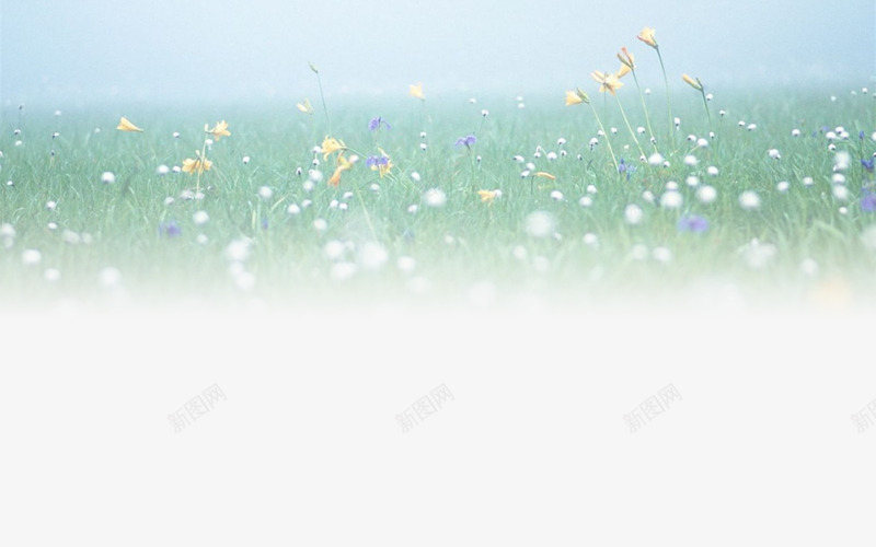 小清新花圃png免抠素材_88icon https://88icon.com 小清新 碎花 花圃 远景