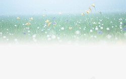 小清新花圃素材