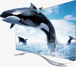 高清海豚显示器高清图片