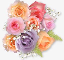 春季清新玫瑰彩色花束素材