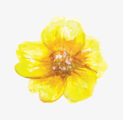 植物黄色花朵涂鸦效果素材