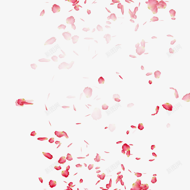 花瓣png免抠素材_88icon https://88icon.com 情人 新图网 桃花 浪漫 爱情 玫瑰 玫瑰花 玫瑰花瓣 花朵 装饰 飘散的玫瑰花瓣