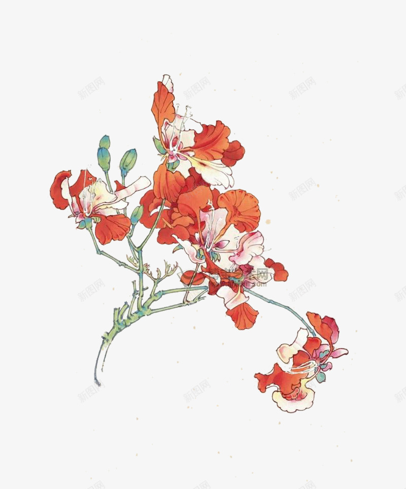 花卉图 Album of flowers paintings - National Palace Museum