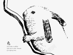 插画淡雅手绘素色兔子素材