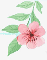 效果海报手绘涂鸦花朵植物素材
