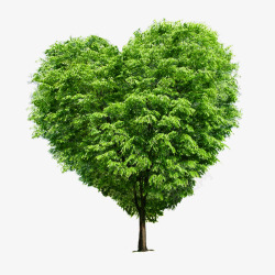 心型绿化树立面树素材