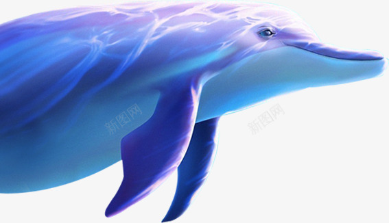 蓝色卡通光效海生物png免抠素材_88icon https://88icon.com 卡通 生物 蓝色