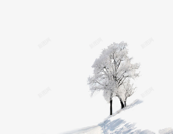 冬天的里的两颗树png免抠素材_88icon https://88icon.com 冬天 冬雪 披上学的银色树 树 雪