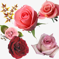 粉色搭配鲜花装饰元素高清图片