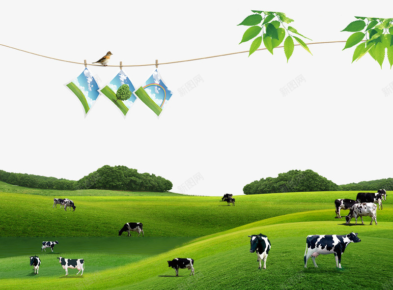 牧场牛群png免抠素材_88icon https://88icon.com 吃草的奶牛 奶牛 生态牧场 草原 草原牛群 萌宠牧场 高原