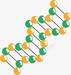 双螺旋分子结构矢量图素材