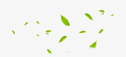 小清新绿色植物树叶飞舞效果素材