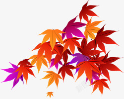 彩色秋天枫叶海报素材