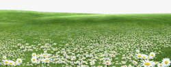 绿色草原花朵装饰边框素材
