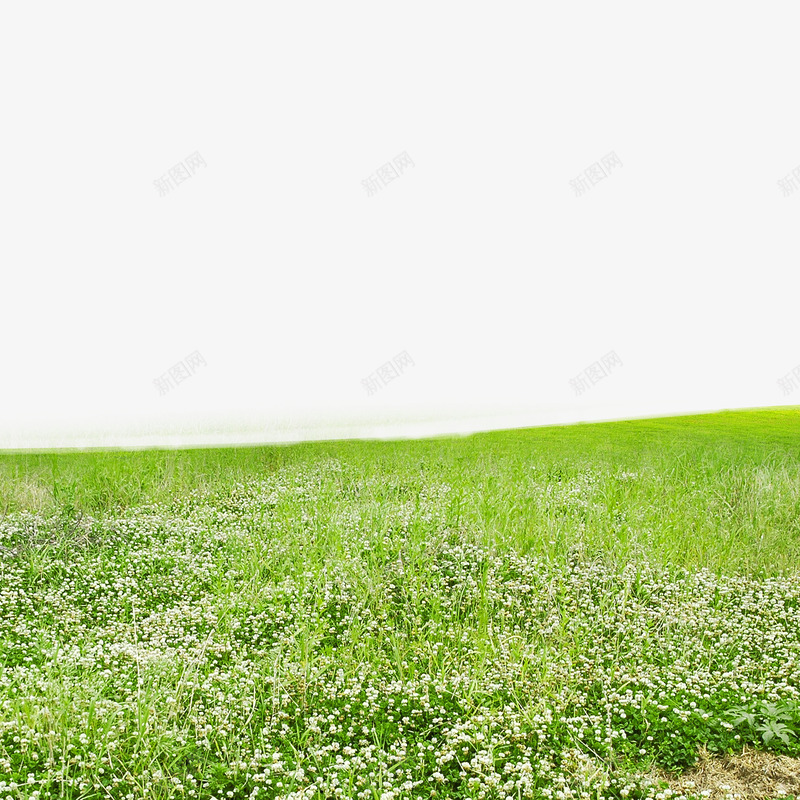 草地花园png免抠素材_88icon https://88icon.com 小花 小草 花园 草地