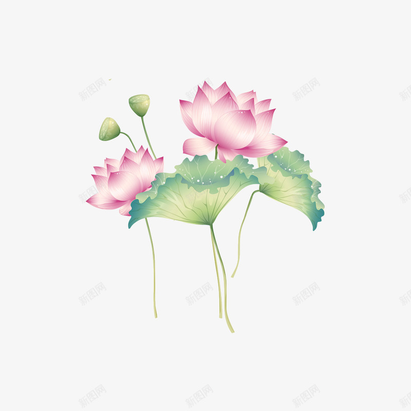 荷花荷叶png免抠素材_88icon https://88icon.com png 免扣 竹子荷花荷叶满池塘 素材 荷叶 荷花