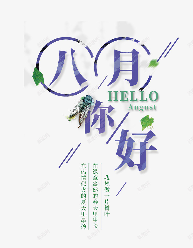 八月你好png免抠素材_88icon https://88icon.com HELLO 八月你好 创意 创意海报 小清新 文字排版 绿叶 艺术字