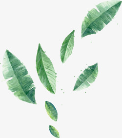 植物涂鸦绿色叶子插画素材