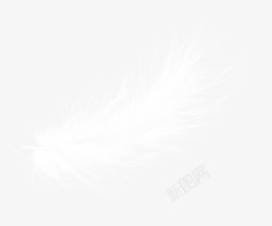 天使羽翼羽毛装饰高清图片