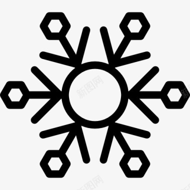 鳞片Snowflake图标图标