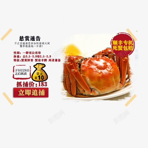 大闸蟹菜品促销psd免抠素材_88icon https://88icon.com 大闸蟹 淘宝促销文字 菜品