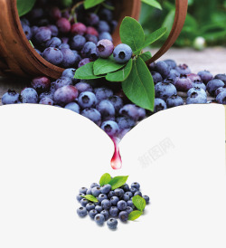 酒宣传单蓝莓酒海报高清图片