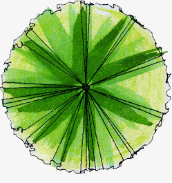 绿色圆形放射线条平面素材