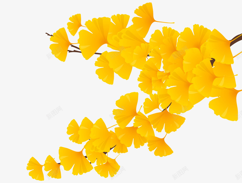 黄色银杏叶png免抠素材_88icon https://88icon.com png图形 树枝 植物 水彩 装饰 银杏叶 黄色