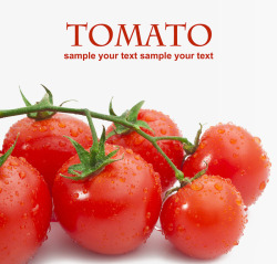 水果杂志海报上的西红柿高清图片