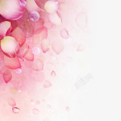 粉色唯美淡雅树叶气泡素材