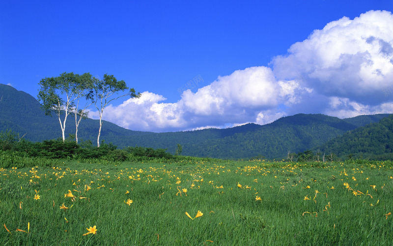 自然风景背景图82png免抠素材_88icon https://88icon.com 摄影 背景 自然 风景