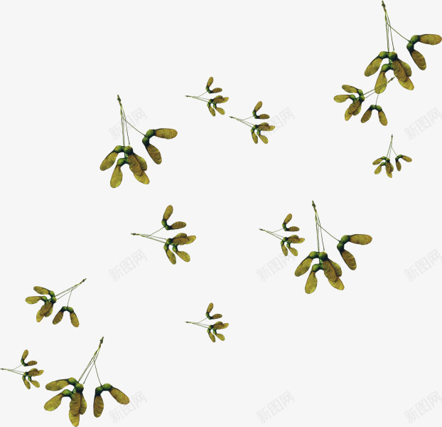 绿色花朵花瓣飘落不规则漂浮png免抠素材_88icon https://88icon.com 不规则 漂浮 绿色 花朵 花瓣 飘落