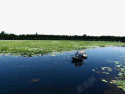 河北白洋淀风景图素材