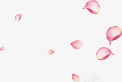 大片的粉色花瓣海报png免抠素材_88icon https://88icon.com 大片 海报 粉色 花瓣