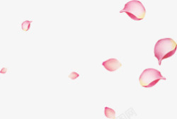 大片的粉色花瓣海报素材