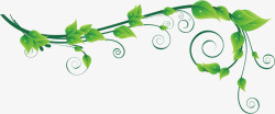 藤蔓线条绿色藤蔓高清图片