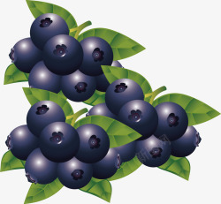 精致蓝莓装饰矢量图素材