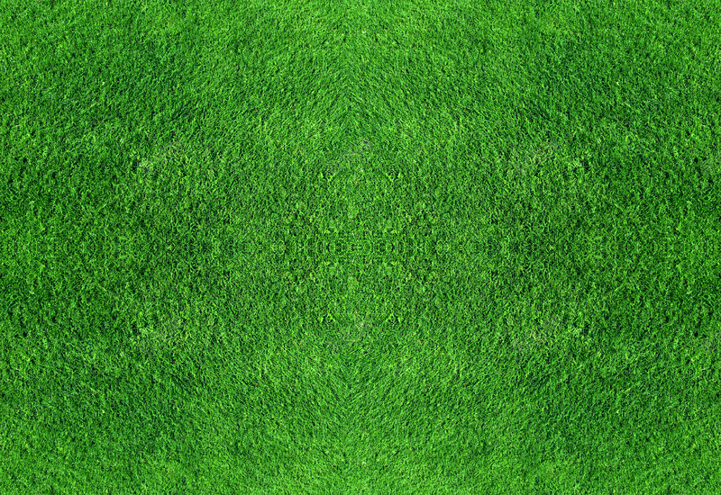 绿色草地海报背景七夕情人节png免抠素材_88icon https://88icon.com 情人 海报 绿色 背景 草地