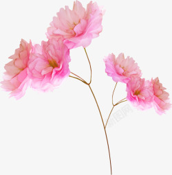 粉色花卉婚庆布置素材